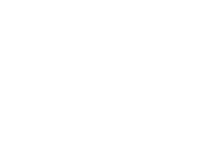 WeLogistics logo blanco